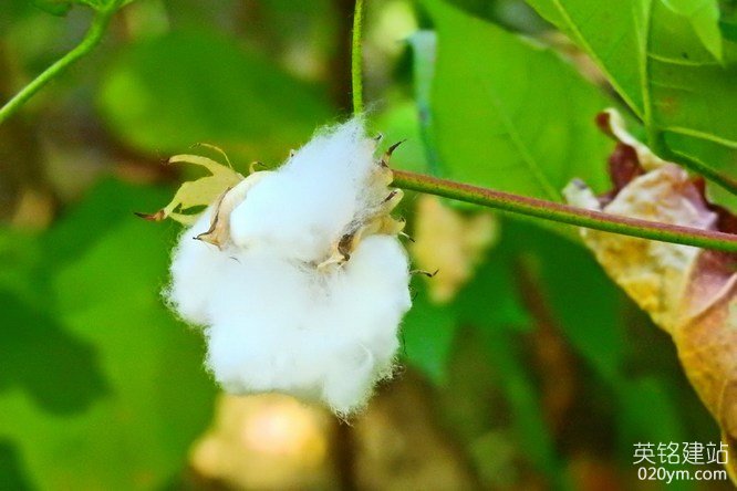 777久久久精品一区二区三区