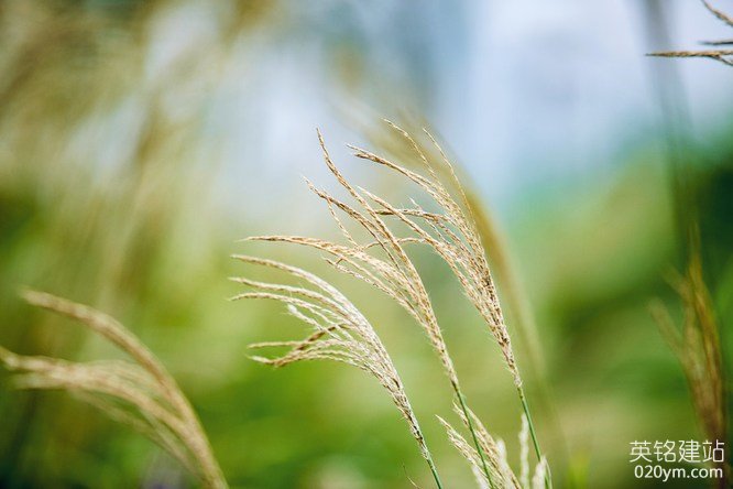 777久久久精品一区二区三区