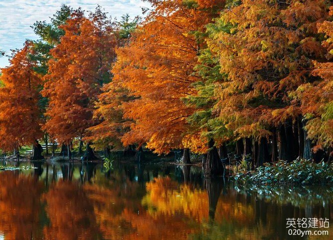 777久久久精品一区二区三区