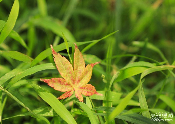 777久久久精品一区二区三区