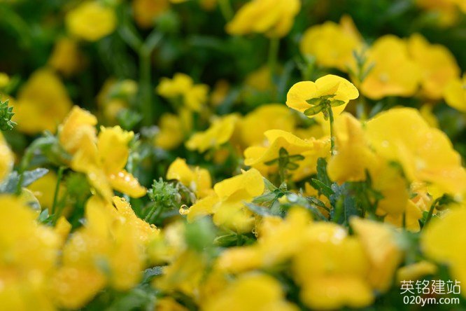 777久久久精品一区二区三区