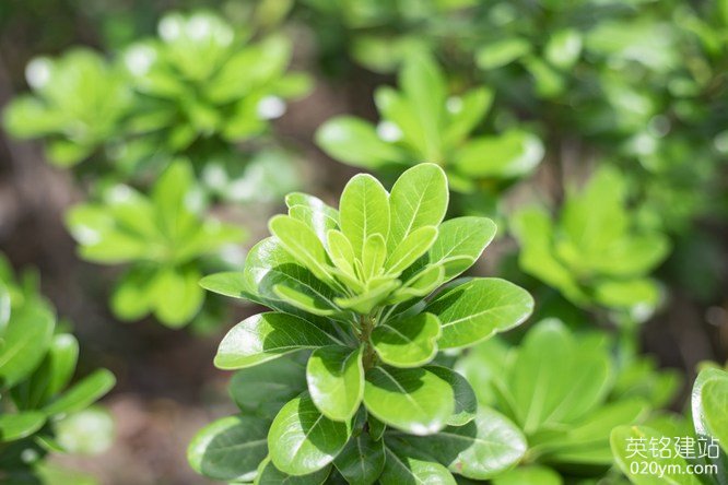 777久久久精品一区二区三区