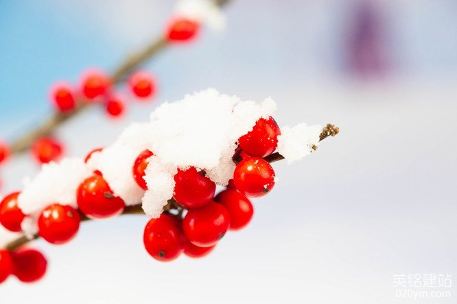 777久久久精品一区二区三区