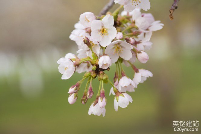 777久久久精品一区二区三区