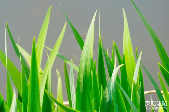 777久久久精品一区二区三区