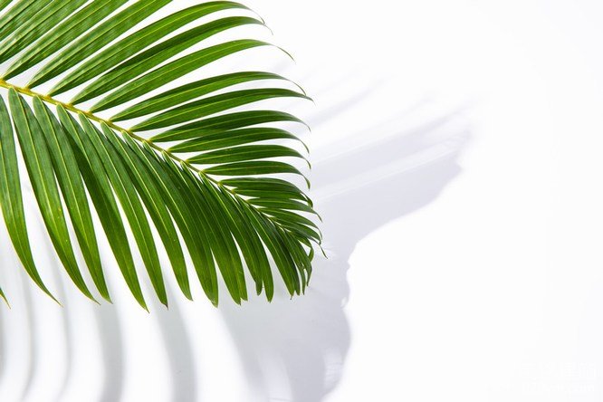 777久久久精品一区二区三区