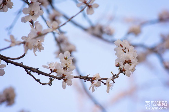 777久久久精品一区二区三区