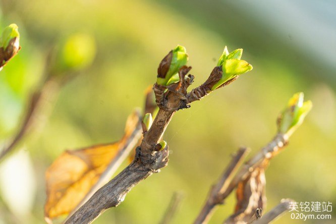 777久久久精品一区二区三区