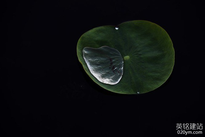 777久久久精品一区二区三区