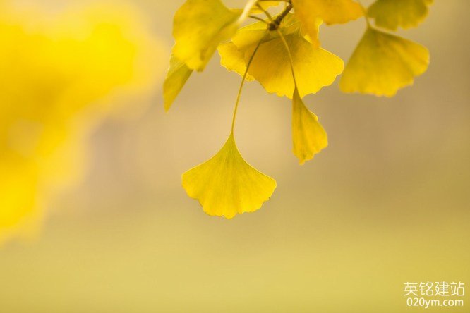 777久久久精品一区二区三区