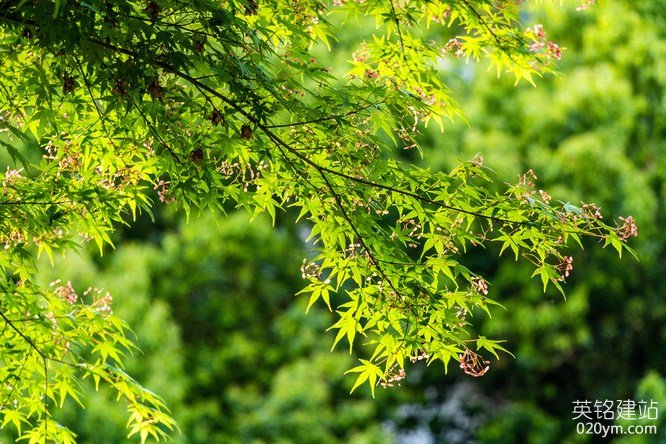 777久久久精品一区二区三区