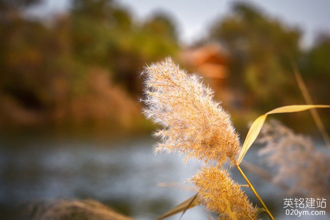 777久久久精品一区二区三区