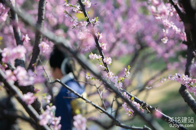 777久久久精品一区二区三区