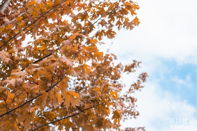 777久久久精品一区二区三区