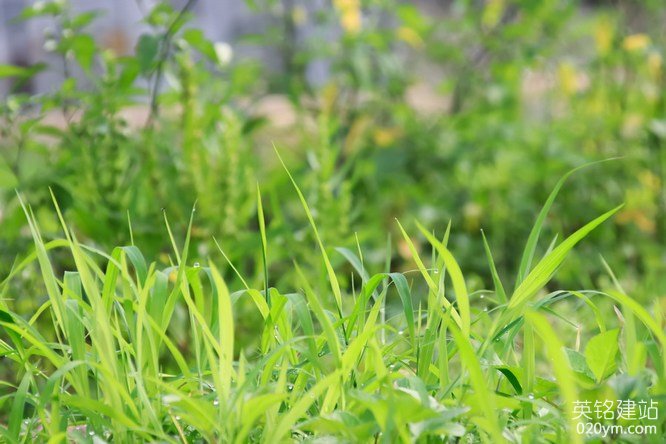 777久久久精品一区二区三区