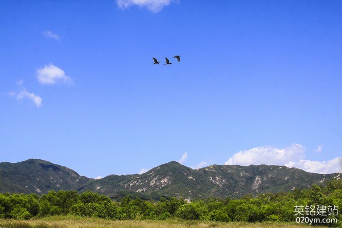 777久久久精品一区二区三区