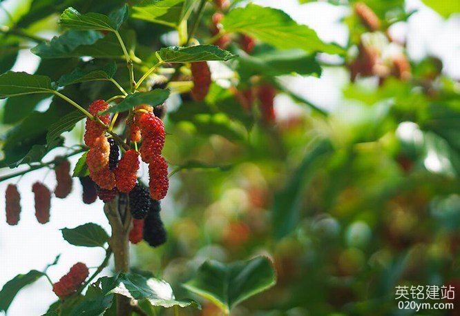 777久久久精品一区二区三区