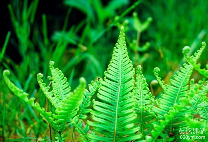 777久久久精品一区二区三区