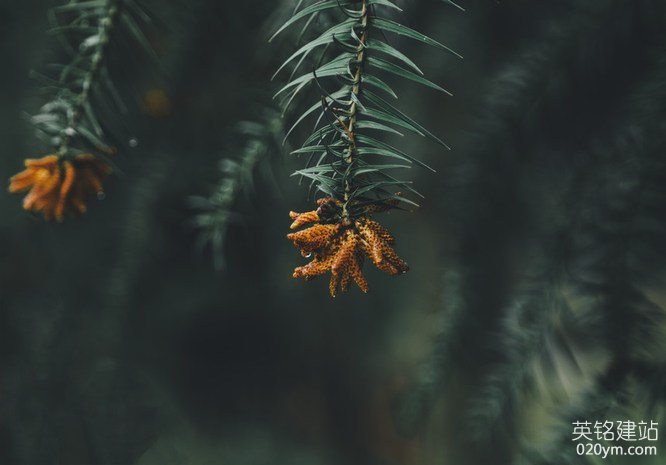 777久久久精品一区二区三区