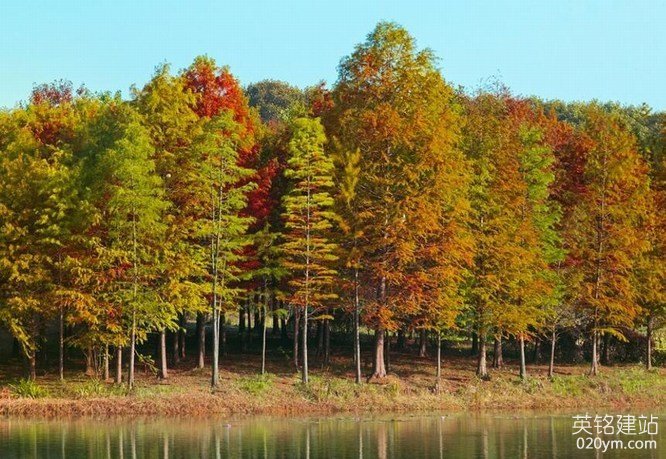 777久久久精品一区二区三区