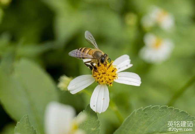 777久久久精品一区二区三区