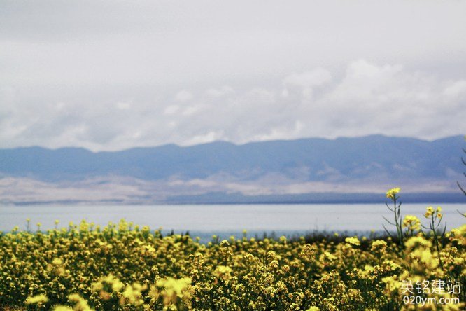 777久久久精品一区二区三区