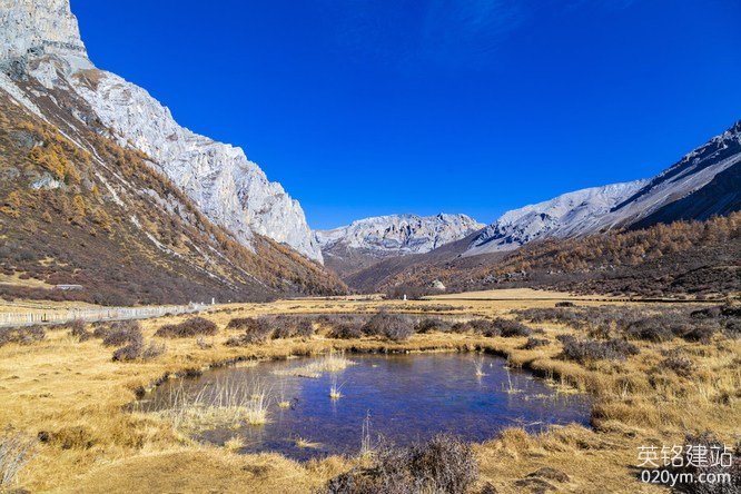 777久久久精品一区二区三区