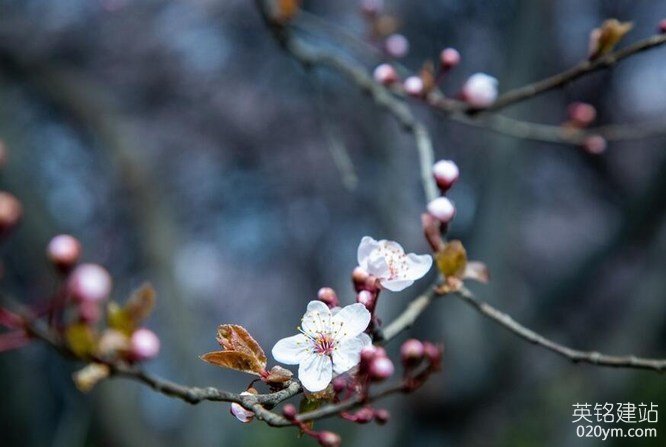 777久久久精品一区二区三区