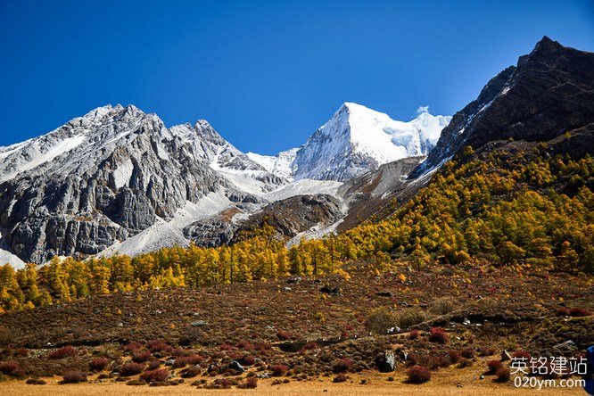 777久久久精品一区二区三区