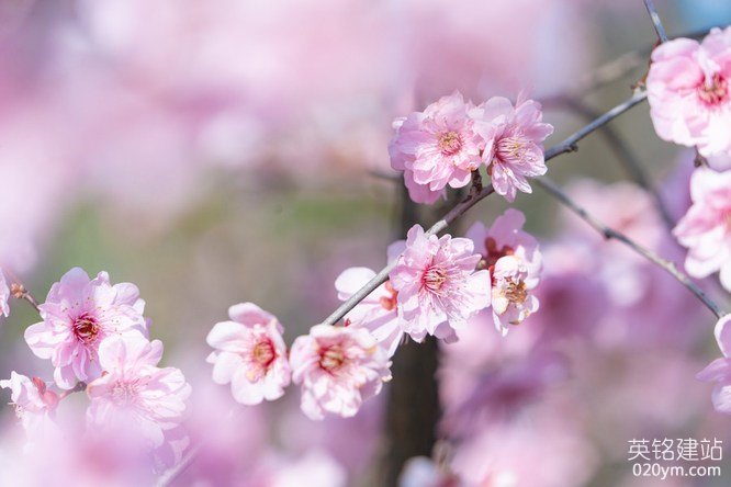 777久久久精品一区二区三区