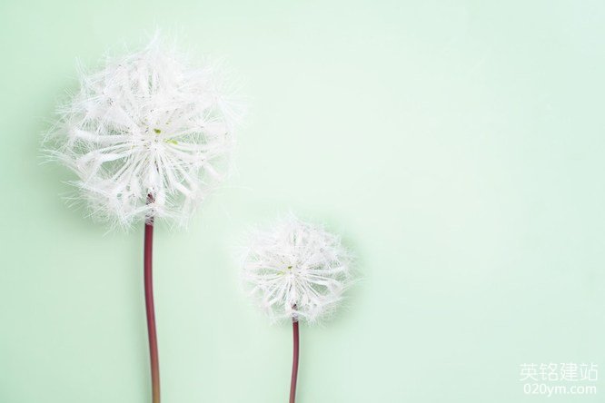 777久久久精品一区二区三区