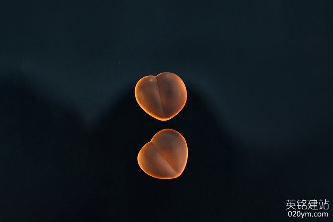 777久久久精品一区二区三区