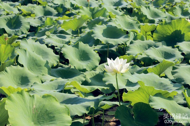 777久久久精品一区二区三区