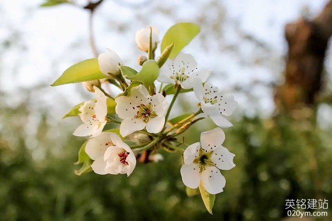 777久久久精品一区二区三区