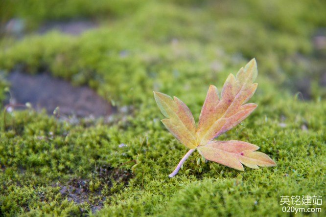 777久久久精品一区二区三区