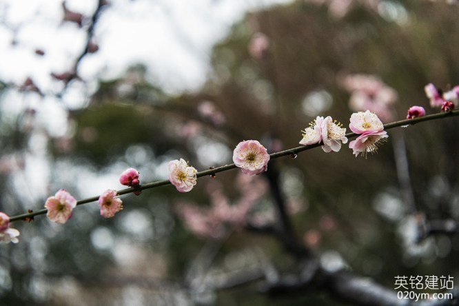 777久久久精品一区二区三区