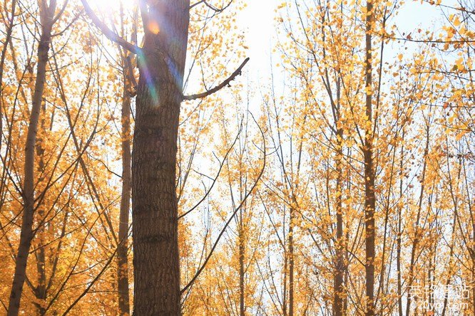 777久久久精品一区二区三区