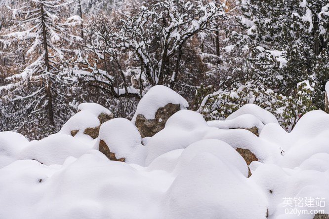 777久久久精品一区二区三区