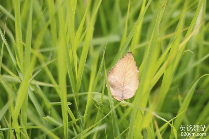 777久久久精品一区二区三区