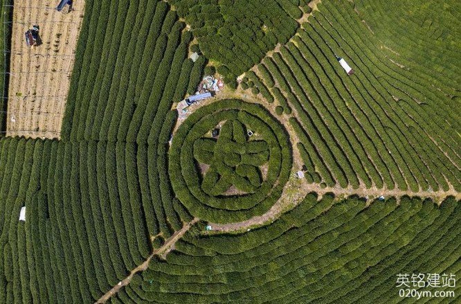 777久久久精品一区二区三区