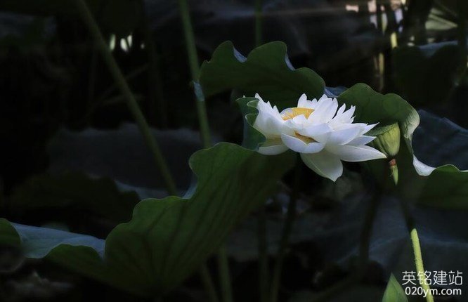 777久久久精品一区二区三区