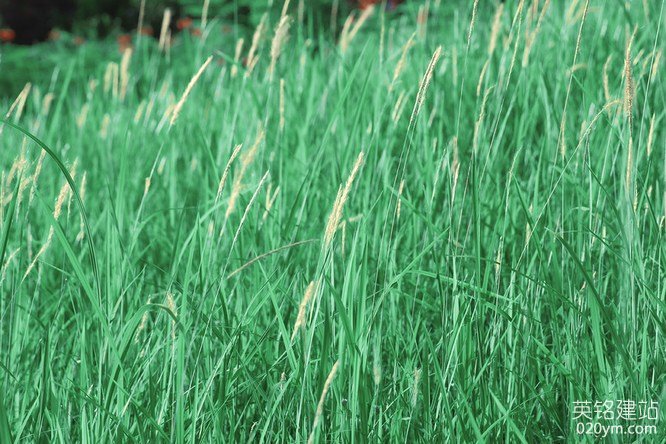 777久久久精品一区二区三区