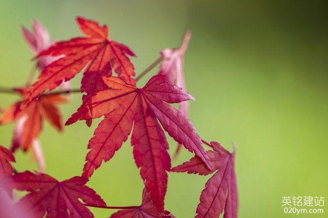 777久久久精品一区二区三区