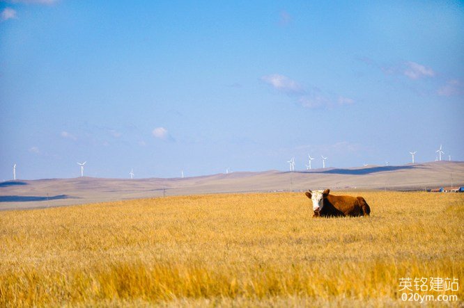 777久久久精品一区二区三区