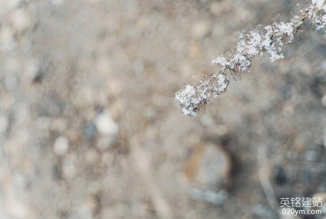 777久久久精品一区二区三区