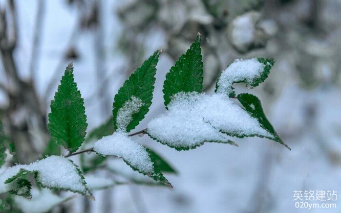 777久久久精品一区二区三区