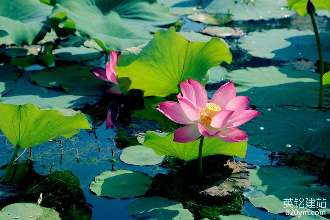 777久久久精品一区二区三区