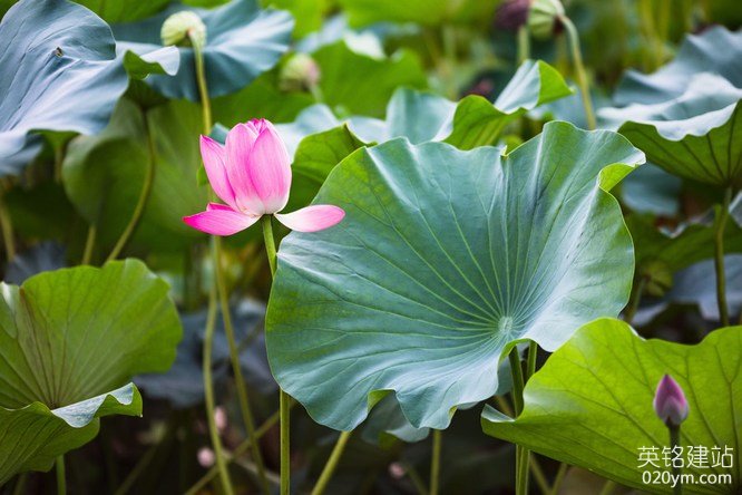 777久久久精品一区二区三区