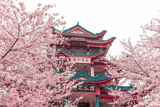 777久久久精品一区二区三区