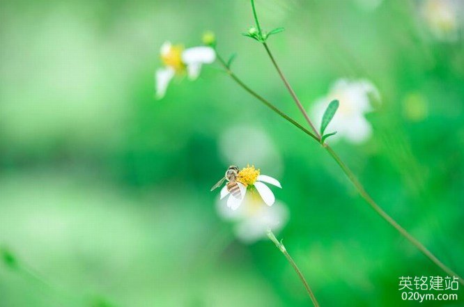 777久久久精品一区二区三区